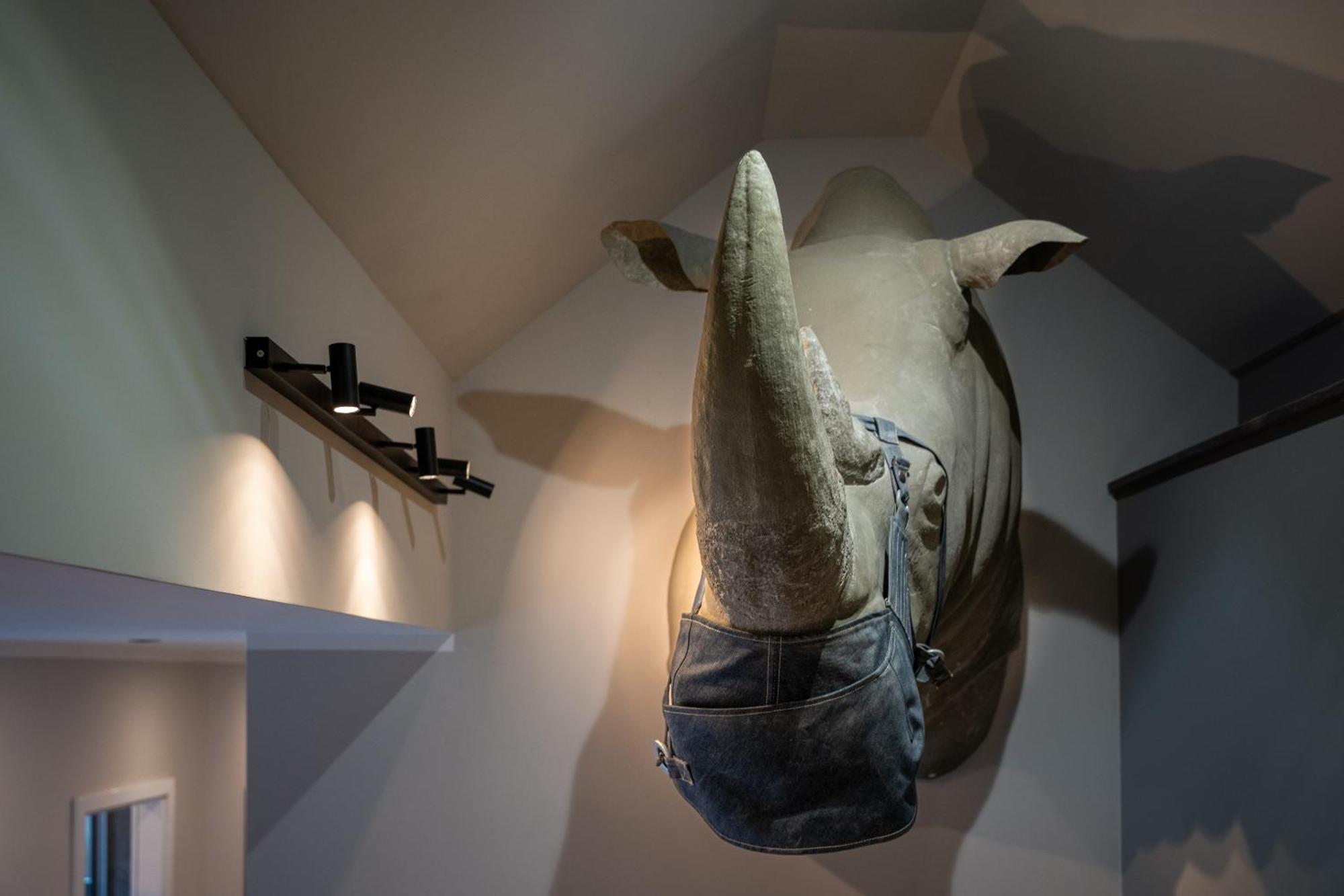 Apartmenthaus Burkhardt Meißen Zimmer foto